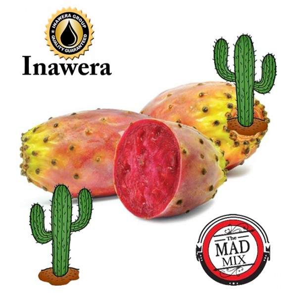 Inawera Cactus