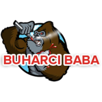 buharcibaba.net